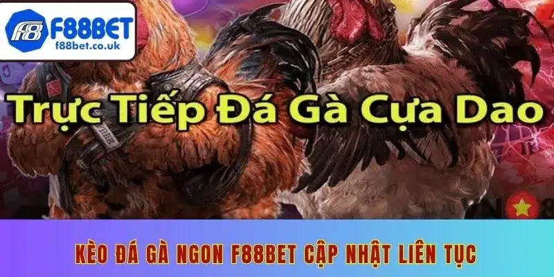 Đá gà cựa dao