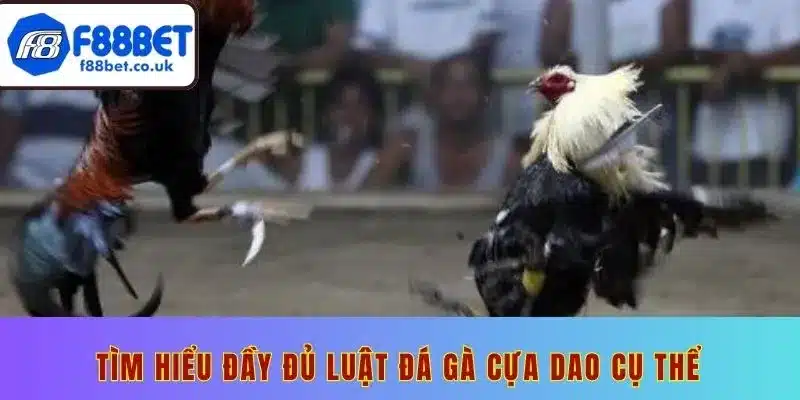 Đá gà cựa dao