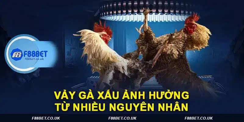 Vảy gà xấu